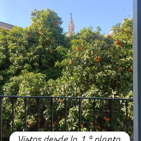 סביליה Apartamentos En La Plaza Dona Elvira, 7 מראה חיצוני תמונה