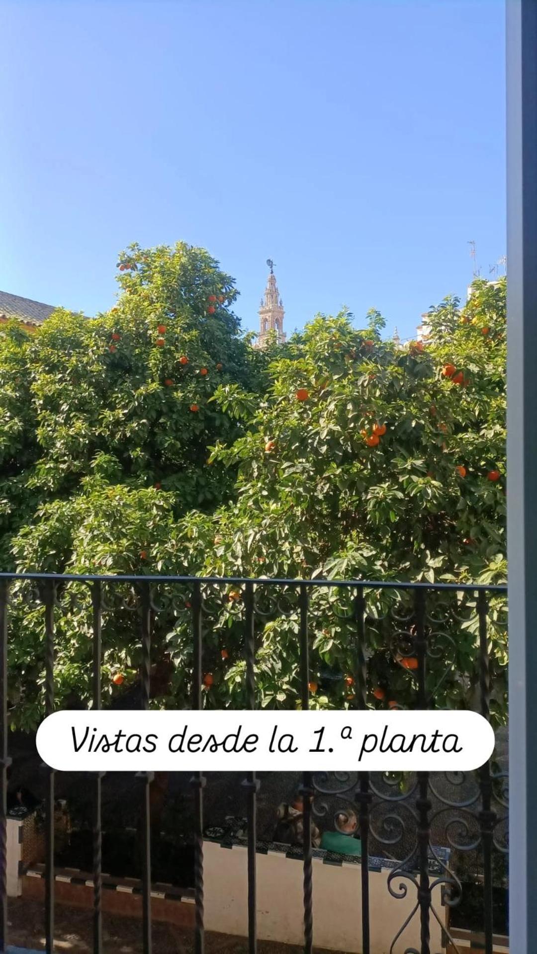סביליה Apartamentos En La Plaza Dona Elvira, 7 מראה חיצוני תמונה