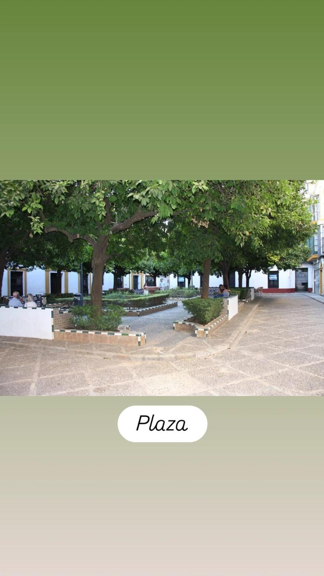 סביליה Apartamentos En La Plaza Dona Elvira, 7 מראה חיצוני תמונה