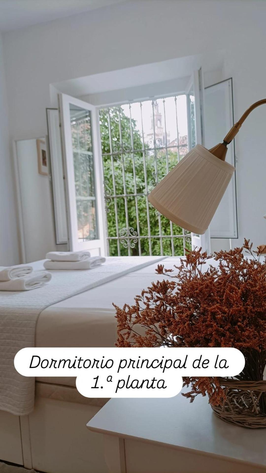 סביליה Apartamentos En La Plaza Dona Elvira, 7 מראה חיצוני תמונה